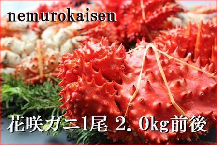 ＜12月22日決済分まで年内配送＞【北海道根室産】花咲ガニ2kg前後 E-57003