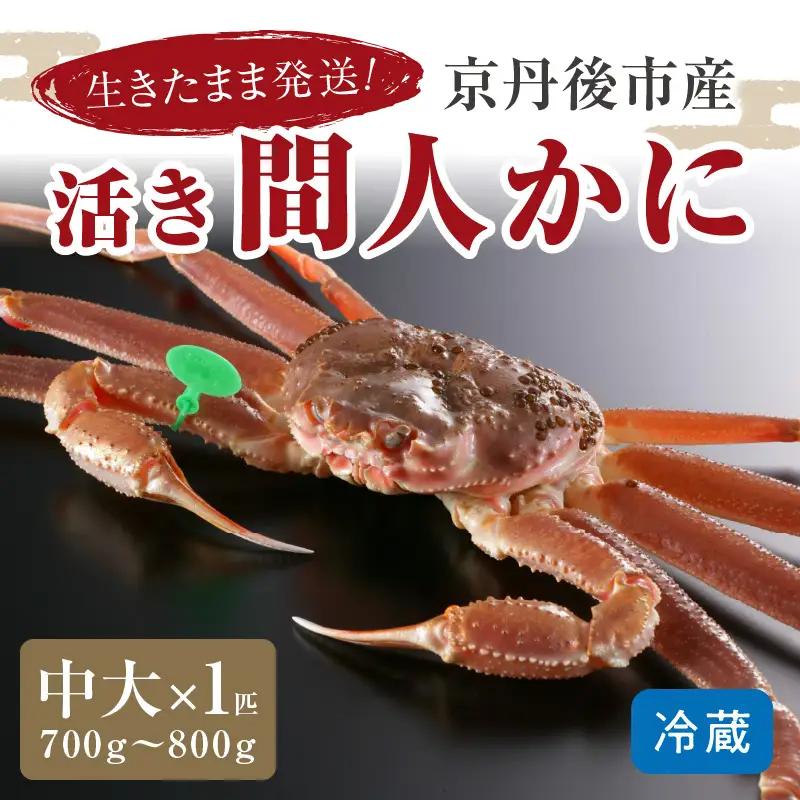 かに卸し問屋がお届け・浜競り厳選！幻の活間人ガニ 700ｇ～800ｇ 中大サイズ（1月～3月発送）／北畿水産 かに
