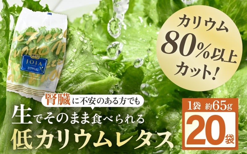 
            【機能性×美味しさ】低カリウム水耕レタス JOIA（ジョイア） 約65g×20袋（栽培期間中農薬不使用・洗わず食べられる） 【野菜 生野菜 レタス サラダ お弁当 水耕栽培 洗わず食べられる 時短 付け合わせ】[m40-b004]
          