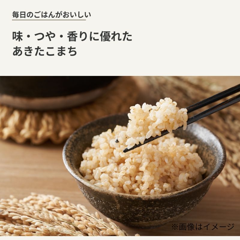 【先行予約・令和8年産】新米 秋田県産あきたこまち 玄米 30kg もっちり極旨 ブランド米 本場の味 豊かな水が育んだこだわり米 産直 [ ご飯 おにぎり お米 産地直送 おこめ ごはん 秋田県 秋田 能代市 ]