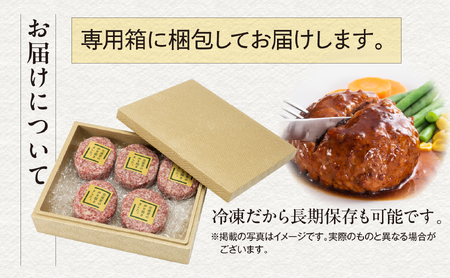 ハンバーグ 和牛  5個入り | ハンバーグ-