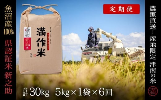 【 定期便 6ヶ月 】 米 5kg × 6回 令和7年産 新米 魚沼産 新之助 県認証米 特別栽培米 | しんのすけ お米 おこめ こめ コメ 白米 精米 おすすめ 新潟県 津南町