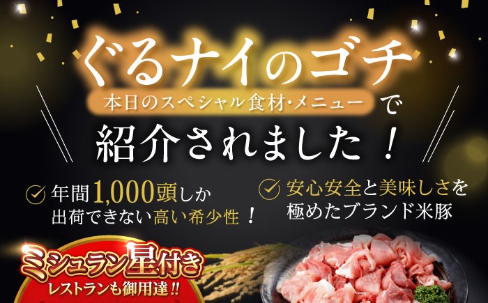 諫美豚(かんびとん) 豚肉切り落とし 2.1kg