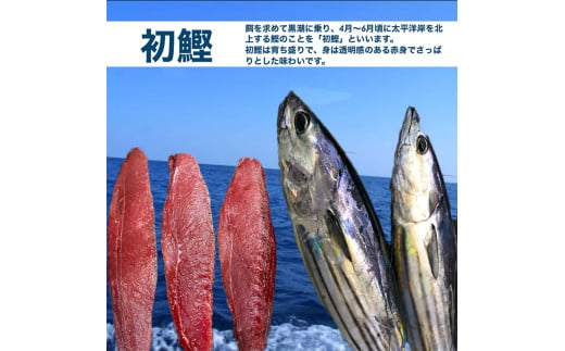 ★数量限定★≪ヤマシン≫ 初鰹のわら焼きタタキ 1節 ※新にんにく1玉付き※ 本場 高知 たたき タタキ かつお 鰹 カツオ タレ付 魚 海鮮 わら焼き 冷蔵 ニンニク にんにく 自慢 人気 送料無料 高知県 田野町 10000円