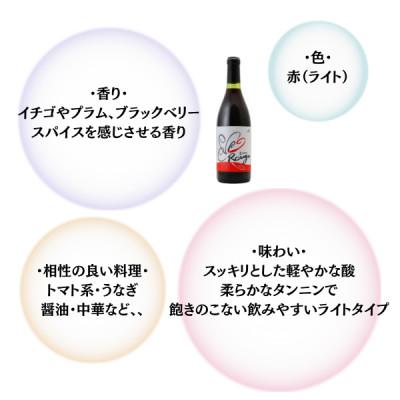ふるさと納税 甲州市 【塩山洋酒醸造】Enzan Rouge 720ml |  | 01