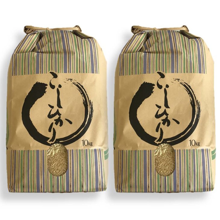 【能登半島地震復興支援】米 玄米 20kg /七尾産コシヒカリ　玄米20kg（10Kg×2袋） ※2024年10月下旬頃から順次発送予定