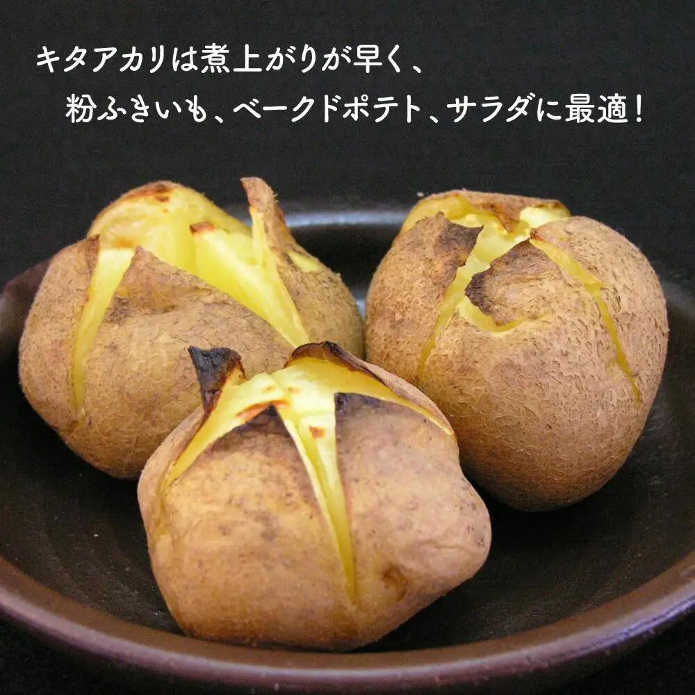 【2026年先行予約】北海道産じゃがいも（北あかり）5kg（10月中旬発送開始）| じゃがいも _00416
