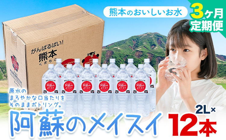 水 熊本 の おいしい お水 阿蘇のメイスイ 2L × 12本 2ケース 3ヶ月定期便 丸富産業《お申し込みの翌月から出荷開始》熊本県 産山村 水 天然水 みず 熊本 飲料 熊本県 ミネラルウォーター ---ubuyama_mrt_28_mo3---