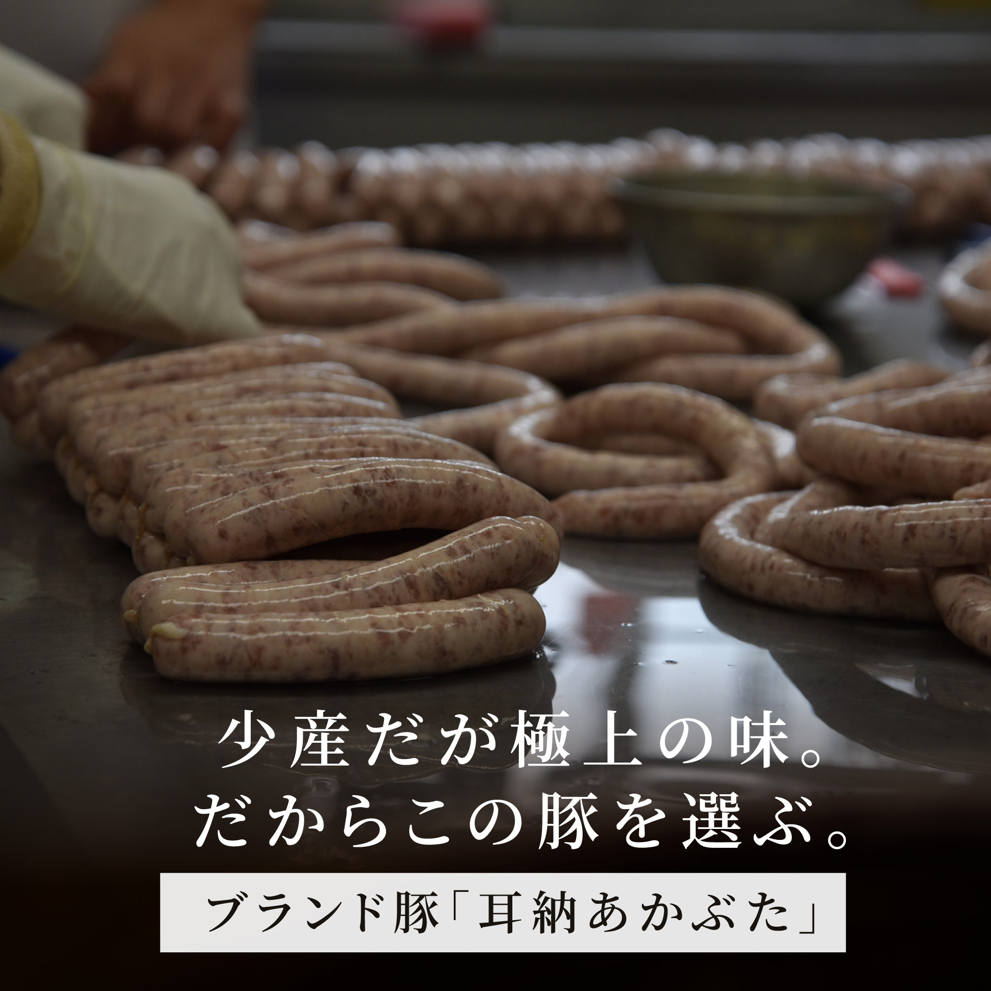 【希少豚使用】素材の旨みを引き出した ハム ウインナー 9種セット【リバーワイルド・ハム・ファクトリー】 耳納あかぶた ドイツ製法 ソーセージ ハム ベーコン ウインナー ギフトセット 詰め合わせ