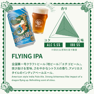 最短3日発送 地ビール IPA 24本 セット 地ビール