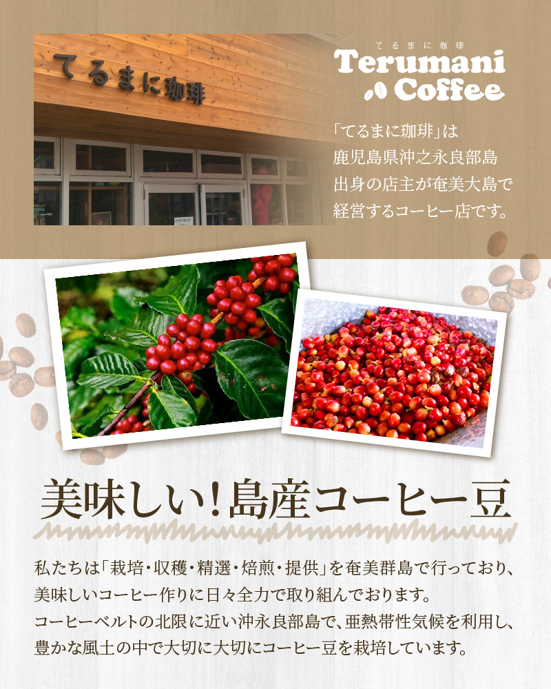 自家栽培・自家焙煎【てるまに珈琲】スペシャルブレンドコーヒーギフトセット100g×2【粉】