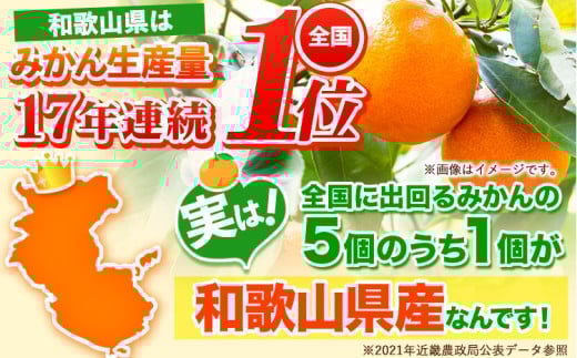 【訳あり/サイズ不選別】 和歌山みかん 約10kg 和歌山県産 《2025年11月中旬-1月中旬頃出荷》たっぷり ご家庭用 2L〜2S 産地直送 みかん 旬 蜜柑 ミカン 柑橘 果物 フルーツ 和歌山