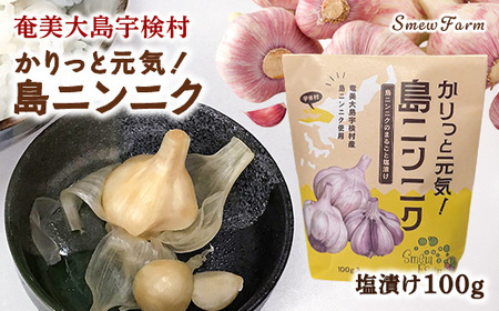 【先行予約】【2026年5～6月頃順次発送予定】カリッと元気！島ニンニク（塩）100g 島ニンニク 塩漬け 無農薬栽培 壺発酵 スタミナ 数量限定 期間限定 宇検村 奄美大島 鹿児島県 送料無料