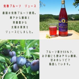 須田農園　ジュース＆ ドライフルーツセット （果汁100％りんごジュース　完熟プルーンジュース　ドライプルーン）[SU-110]