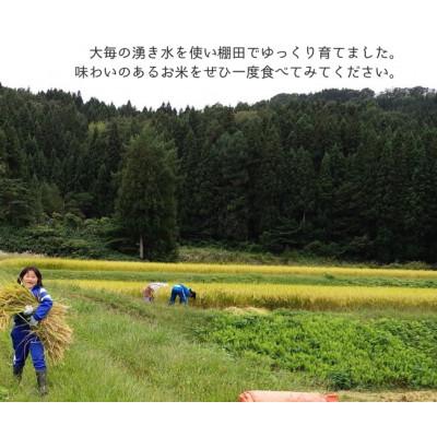 ふるさと納税 村上市 【令和6年産米】精米　新潟県村上市産　コシヒカリ「大毎のめぐみ米」5kg　1093003 |  | 03