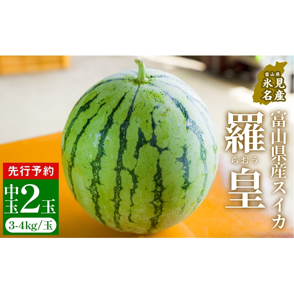 【先行予約】富山県産スイカ 羅皇 中玉 2玉 （3-4kg/玉） 【2026年8月以降順次発送】 スイカ 夏 果物 フルーツ 富山県 氷見市