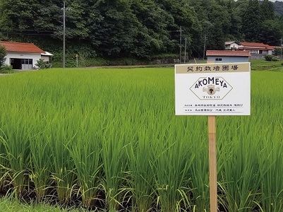 令和７年度産AKOMEYA TOKYO特別栽培米 コシヒカリ 窒素充填2kg×9回 定期便【コシヒカリ こしひかり 真空パック 減農薬 特別栽培米 贈答用 プレゼント ギフト アコメヤ D-308 】