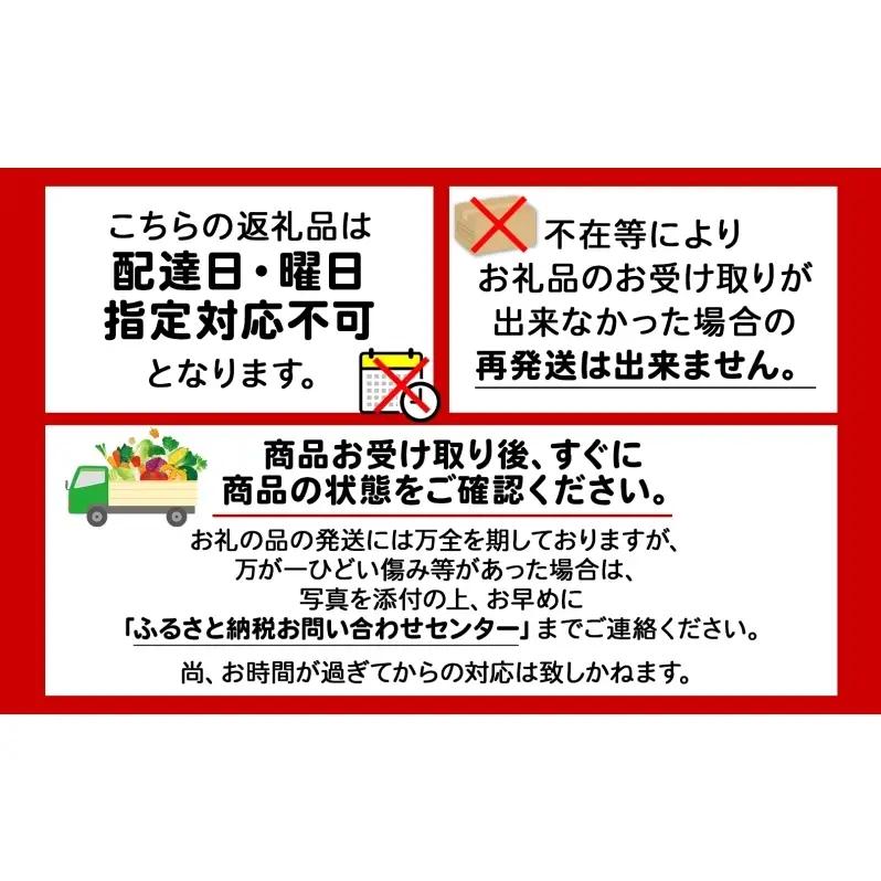 赤肉メロン 北海道産 完熟 JAようてい 赤肉メロン【約1.6kg 2玉】