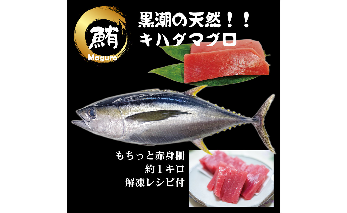 
【谷鮮魚食堂】天然キハダマグロ　赤身柵 約1ｋｇ
