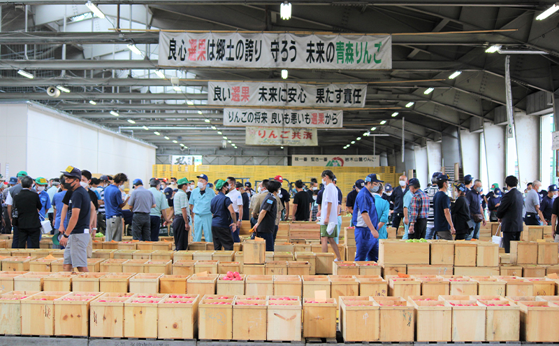 【2月発送】家庭用 サンふじ 約3kg 果物類 フルーツ 林檎 リンゴ 鶴田町 青森県 おやつ デザート