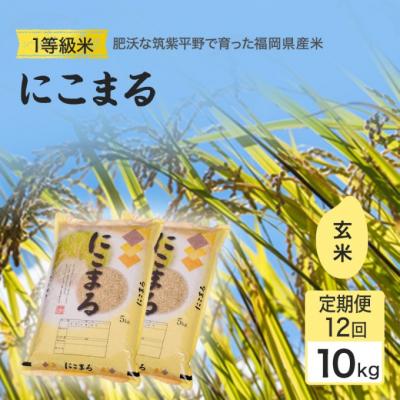ふるさと納税 小郡市 定期便12回 1等級米 にこまる 玄米(10kg×12回)[No5354-2378]
