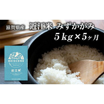 【ふるさと納税】【定期便】令和7年産新米　滋賀県豊郷町産　近江米 みずかがみ　5kg×5ヶ月 お米 白米 ごはん ライス 主食 炭水化物 おにぎり 　お届け：ご入金の翌月中旬に出荷いたします※2025年10月より順次出荷開始
