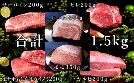 松阪牛豪華絢爛二段重 計1.5kg 牛肉 牛肉【15-2】