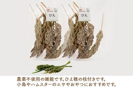 小鳥のエサ（ひえ穂） 計200g（100g×2袋） 農薬不使用 無農薬 国産 国内産 小鳥の餌 小鳥のえさ