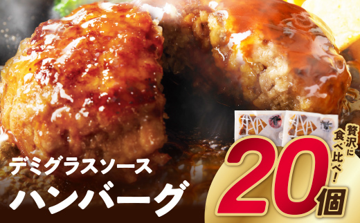 どっちのハンバーグ!?デミグラスソース（ビーフ・合挽 各10個） 20個