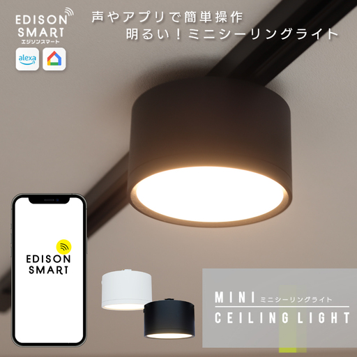 エジソンスマート ミニシーリングライト for ダクトレール 福岡市【カラー選択可】 ブラック
