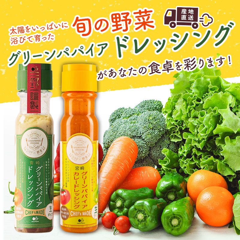 産地直送！旬の野菜（5～8種類）＆ドレッシング セット 10か月 定期便 おまかせ 詰合せ 宮崎県新富町産【F137】_イメージ2