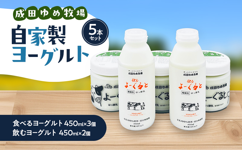 自家製ヨーグルト5本セット 乳製品 食べるヨーグルト 飲む