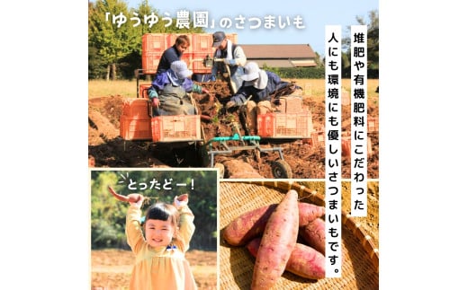 訳あり 干し芋 ゆうゆう農園の紅はるかの平干し芋(規格外品)1kg 【簡易包装品】 | 訳あり干し芋 紅はるか干し芋 平干し ほしいも 干しいも 国産 無添加 茨城県産 さつまいも サツマイモ お芋 