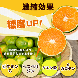 ＜先行予約受付中！2025年9月下旬以降順次発送予定＞鹿児島県阿久根産 極早生みかん (10kg) 国産 ミカン 蜜柑 オレンジ 柑橘 果物 フルーツ 温州 期間限定【あくね旬の店いきいき館】akn0