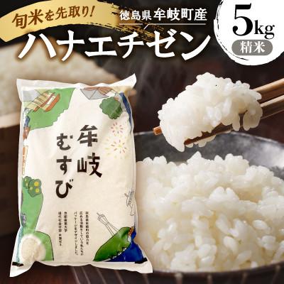 ふるさと納税 牟岐町 令和7年産「新米を先取り!徳島県牟岐町産ハナエチゼン5kg(精米)」【安心の検査米】