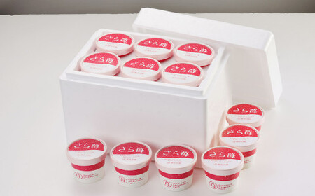 いちご 冷凍 50g×12カップ 合計600g 練乳  完熟 冷凍 いちご 「さら苺」 50g×12カップ 合計600g 練乳付き 1本（120g） 園村苺園 熊本県産冷凍いちご 宇城市産冷凍いちご 