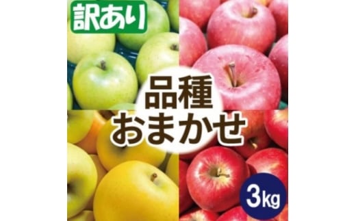 ＜25年12月出荷予定＞りんご 品種おまかせ 約3kg 訳あり【1668106】