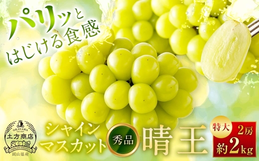 シャインマスカット晴王秀品特大2房約2kg
