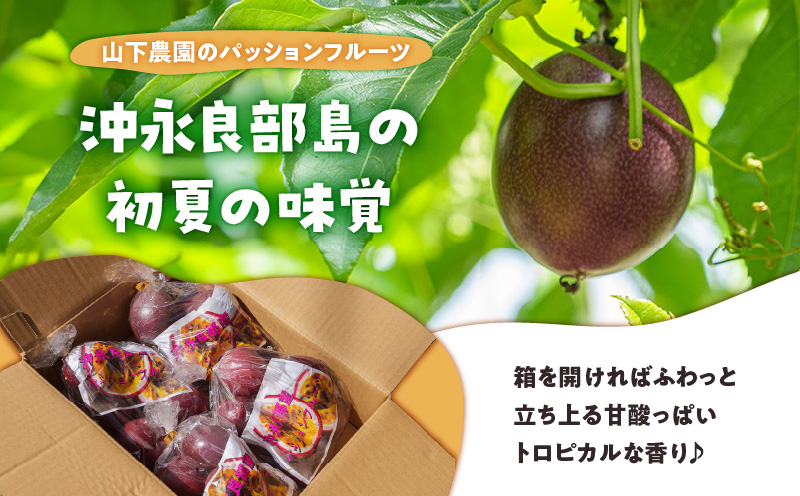 【ご家庭用】山下農園のパッションフルーツ 3kg【2025年6月上旬〜7月上旬発送】　W063-002