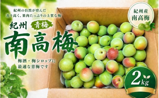 【期間限定・2026/6/1まで】 紀州南高梅 青梅 2kg※2026年6月中下旬から順次発送予定※ / 紀州南高梅 梅シロップ 梅ジュース 梅酒 和歌山県 【khn004】