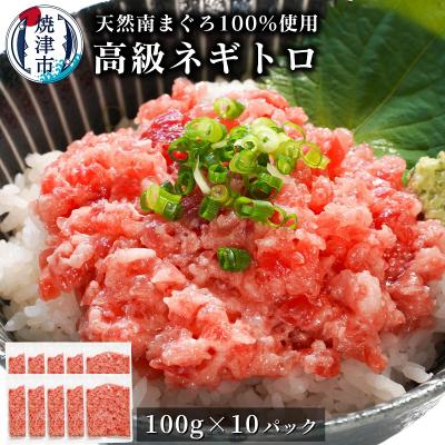 ふるさと納税 焼津市 天然 海のダイヤ 南鮪 ネギトロ 約100g×10(a30-269)