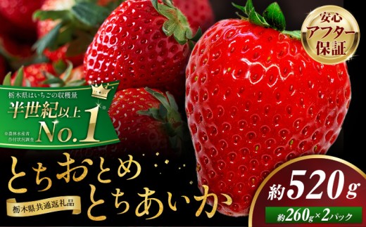 栃木 いちご 食べ比べ とちおとめ とちあいか 2パック 520g 《1月中旬-5月末頃出荷》 栃木県 野木町 いちご イチゴ 苺 とちおとめ とちあいか 食べ比べ 果物 フルーツ ハート型 ジューシー 【配送不可地域】沖縄・離島
