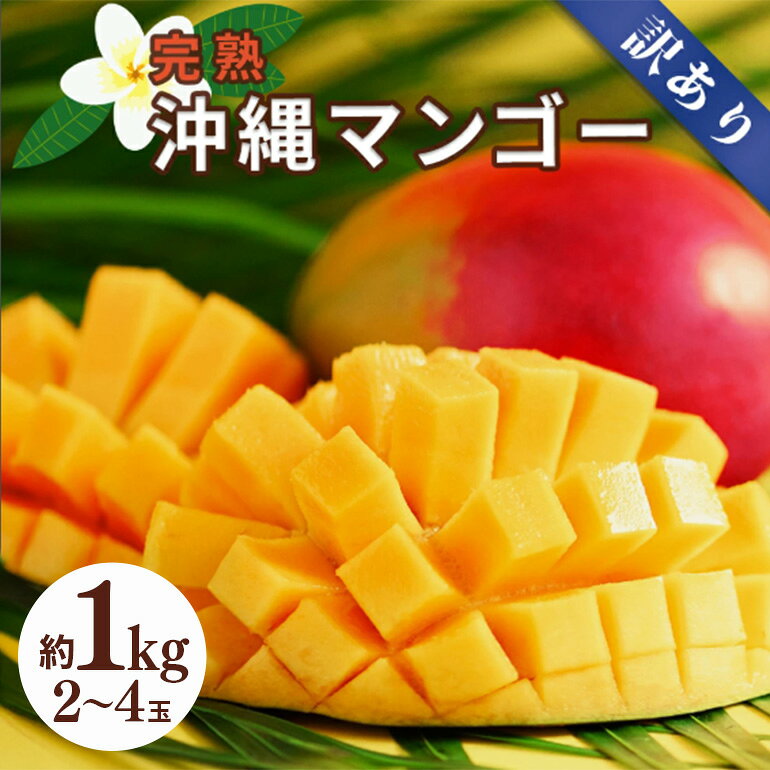 【ふるさと納税】訳ありマンゴー 1kg【 先行予約 2027年発送 】マンゴー 濃厚 甘い ジューシー 南国 フルーツ 果物 産地直送 訳あり 国産 お取り寄せ 沖縄 うるま市