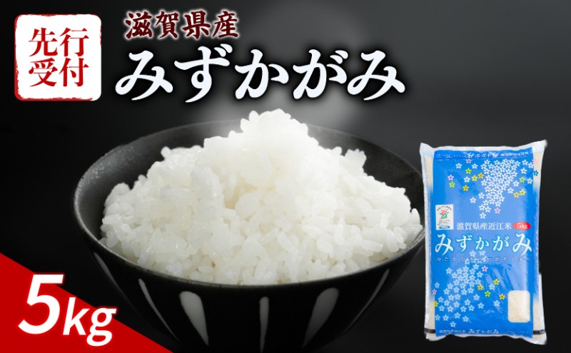 
                  【令和8年産】 先行予約 新米 みずかがみ 5kg 令和8年産 米 精米 こめ コメ お米 ご飯 5キロ 令和8年 令和8年度産 令和八年産 令和八年 滋賀 彦根 【近江米】
                