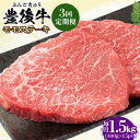 【ふるさと納税】【全3回定期便】おおいた豊後牛 モモ ステーキ 約1.5kg(100g×15P) 日田市 / 株式会社MEAT PLUS　牛 うし 黒毛和牛 和牛 豊後牛[AREI128]