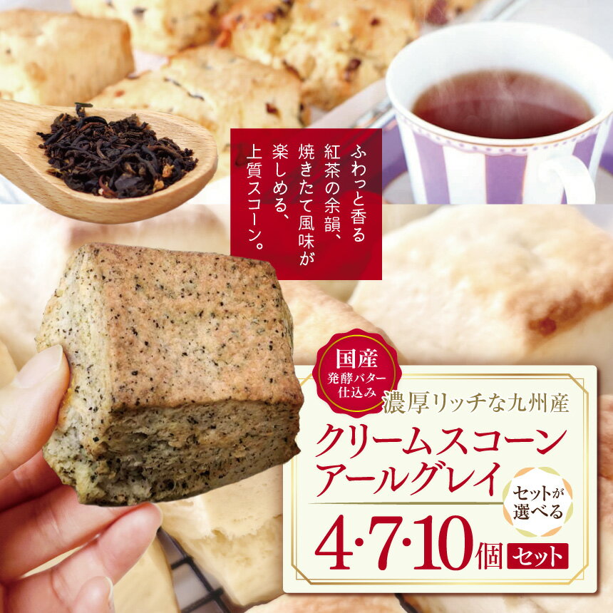 【ふるさと納税】国産発酵バター仕込みの濃厚リッチな九州産生クリームスコーン アールグレイ 選べる 内容量 4個 ～ 10個 | お菓子 菓子 おかし 洋菓子 焼き菓子 イギリス菓子 スコーン 生クリーム アールグレイ 紅茶スコーン 手作り おやつ デザート スイーツ 大分県 中津市