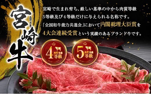 塩だけでつくる 宮崎牛 塩ジャーキー 10袋（20g×10袋）ブランド牛 ビーフジャーキー おつまみ 珍味 グルメ 干し肉 宮崎県産