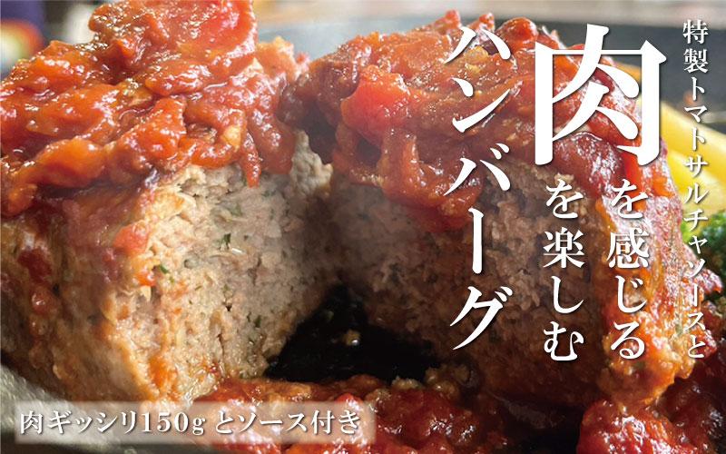 大容量パック　世界三大料理トルコの味を知り尽くしたオーナーシェフが贈るオードブル5種セット（6名様〜）パーティー　記念日　クリスマス　ギフト　贈答にも　