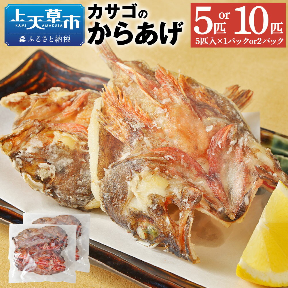 【ふるさと納税】カサゴ からあげ用 5匹×1パックまたは2パック 合計5匹 または 合計10匹 選べる内容量 カサゴ かさご 唐揚げ から揚げ 海産物 惣菜 冷凍 九州 熊本県 上天草市 送料無料