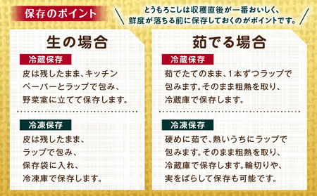 《2025年発送先行予約》宮崎市産朝どれスイートコーン（ゴールドラッシュ）約7kg 野菜 甘い 新鮮